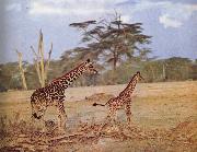 unknow artist The oppna terrangen am failing giraffe favoritmiljo France oil painting artist